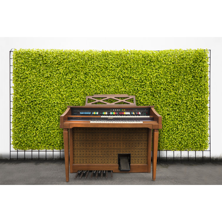 Primrue 20'' Faux Boxwood Hedge Wayfair Canada